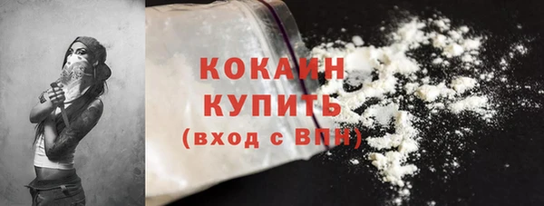 PSILOCYBIN Абаза